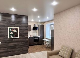 Сдача в аренду 1-комнатной квартиры, 40 м2, Ярославль, Тверицкая набережная, 24, Заволжский район