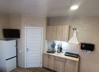 Аренда 1-ком. квартиры, 24 м2, Сочи, улица Богдана Хмельницкого, 33с1, микрорайон Центральный