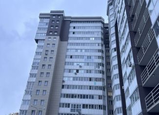 Продается квартира студия, 28.2 м2, Старая Купавна, Октябрьская улица, 14А