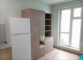 Сдаю в аренду квартиру студию, 19 м2, Новосибирск, улица Виктора Уса, 7