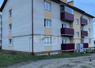 Продаю 2-комнатную квартиру, 57 м2, село Кочкурово, улица В.Д. Калядина, 50А