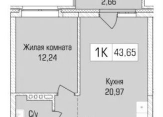 Продаю однокомнатную квартиру, 43.7 м2, Новосибирская область