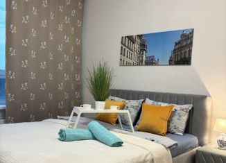 Квартира в аренду студия, 20 м2, Москва, улица Поляны, 5Ак5, район Южное Бутово