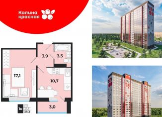 1-комнатная квартира на продажу, 35.3 м2, Новосибирская область