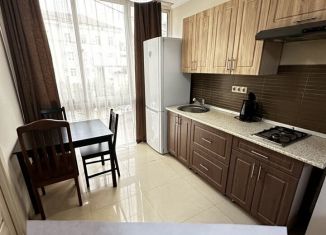 Квартира в аренду студия, 27 м2, Сочи, Демократическая улица, 84, микрорайон Черемушки