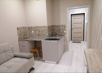 Сдам 1-ком. квартиру, 20 м2, деревня Афонино, улица Красная Поляна, 5