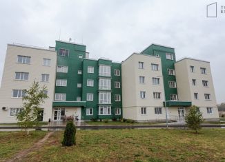 3-комнатная квартира на продажу, 80 м2, деревня Болтино, улица Баздырева, 11