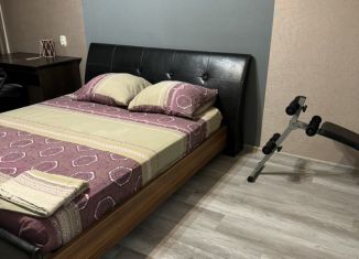 Сдача в аренду 2-ком. квартиры, 49 м2, Уфа, улица Кирова, 41