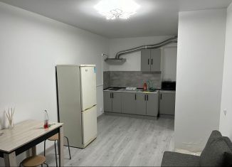 1-ком. квартира в аренду, 40 м2, село Осиново, Спортивная улица, 5