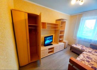 1-комнатная квартира в аренду, 30 м2, село Михайловка, улица Ленина, 69