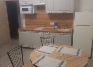 Сдам в аренду квартиру студию, 25 м2, село Витязево, Кавказская улица, 54