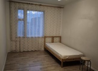 Аренда 2-комнатной квартиры, 60 м2, Санкт-Петербург, Пискарёвский проспект, 159к7, Красногвардейский район