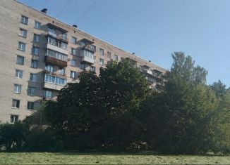 2-ком. квартира на продажу, 47 м2, Санкт-Петербург, улица Турку, 7, метро Международная