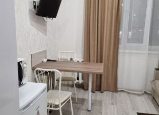 Сдаю в аренду квартиру студию, 17 м2, Казань, улица Сибирский Тракт, 22