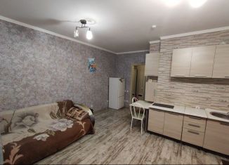 Продам квартиру студию, 28 м2, Новосибирск, метро Берёзовая роща, улица Олеко Дундича, 1/3