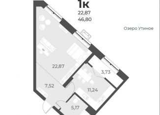 Продажа однокомнатной квартиры, 46.8 м2, Новосибирская область