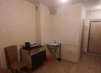Квартира в аренду студия, 22 м2, Новосибирск, Спортивная улица, Ленинский район