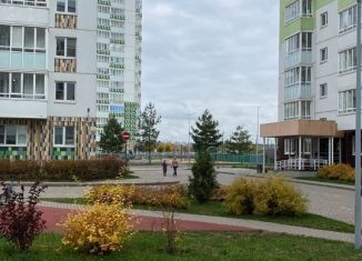 Продаю квартиру студию, 28 м2, городской посёлок Янино-1, Голландская улица, 3к1, ЖК Янила Кантри