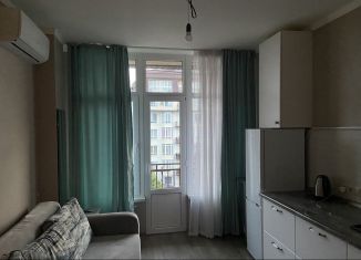 Квартира в аренду студия, 21 м2, Сочи, Пятигорская улица, 90А, микрорайон Светлана