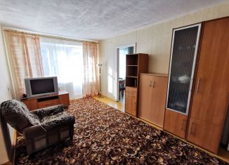 Сдается в аренду двухкомнатная квартира, 44 м2, Екатеринбург, улица Мамина-Сибиряка, 70, улица Мамина-Сибиряка