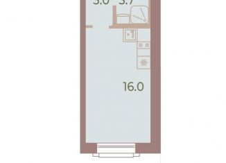 Продаю квартиру студию, 22.7 м2, Санкт-Петербург, Петроградский район, Петровский проспект, 9В