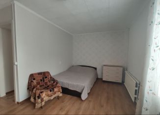 Сдаю однокомнатную квартиру, 30 м2, Санкт-Петербург, Ленинский проспект, 158