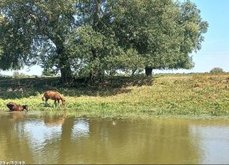 Продам участок, 12 сот., село Верхние Колки, Набережная улица, 97