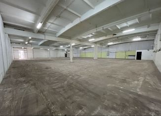 Сдается производство, 972 м2, деревня Проба, Пробинское шоссе