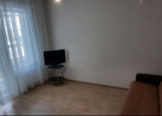 Сдача в аренду квартиры студии, 30 м2, Пермь, ЖК Арсенал, улица Василия Татищева, 8