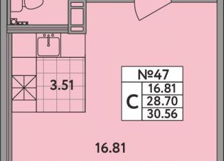 Продаю квартиру студию, 28.7 м2, деревня Новое Девяткино, деревня Новое Девяткино, 115, ЖК Удача