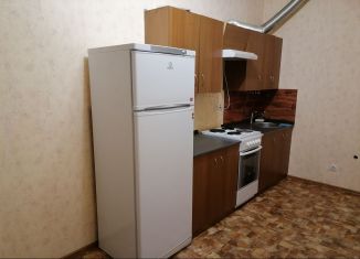 Сдаю однокомнатную квартиру, 37 м2, Мурино, проспект Авиаторов Балтики, 3