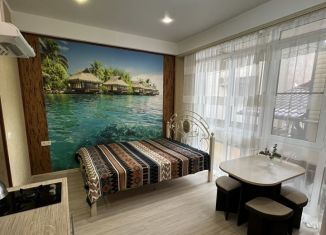 Сдается в аренду квартира студия, 22.9 м2, Сочи, улица Кирова, 127, микрорайон Черемушки