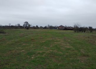 Продажа участка, 36 сот., село Луговое, Воронежская улица