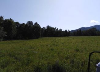 Земельный участок на продажу, 1300 сот., Усть-Коксинское сельское поселение