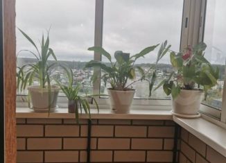 Продается однокомнатная квартира, 25.3 м2, Берёзовский, Новая улица, 20к1, ЖК Рябина-парк