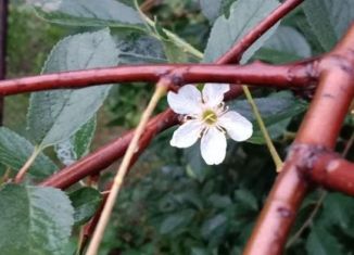 Продаю земельный участок, 6 сот., деревня Яшь Кеч, Садовая улица, 20А