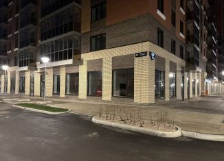 Торговая площадь в аренду, 94 м2, Красноярский край, Южная набережная, 12