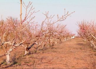 Продаю участок, 35 сот., село Ивановка