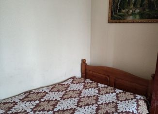 2-комнатная квартира в аренду, 52 м2, Новосибирская область, микрорайон Центральный, 17