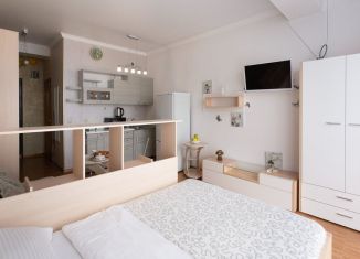 Продается 1-комнатная квартира, 28 м2, Сочи, Красная улица, 22, микрорайон Центральный