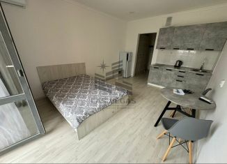 Сдам квартиру студию, 24 м2, Краснодарский край, улица Искры, 88