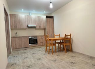 Сдача в аренду 2-ком. квартиры, 60 м2, Химки, улица Родионова, 7Б