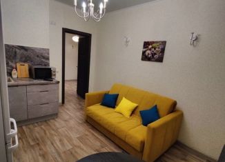 Сдача в аренду 1-ком. квартиры, 40 м2, Тюмень, улица Беляева, 29к1