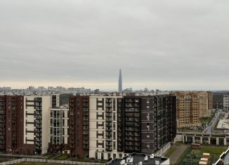 Продаю квартиру студию, 23.7 м2, Санкт-Петербург, Плесецкая улица, 10