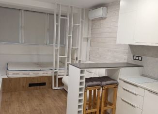 Продам квартиру студию, 22.7 м2, деревня Афонино, улица Красная Поляна, 3