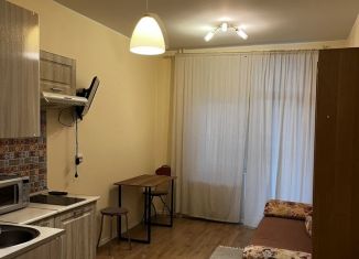 Сдам в аренду квартиру студию, 21 м2, Санкт-Петербург, набережная реки Каменки, 11к2, метро Парнас