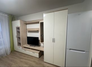 Квартира в аренду студия, 20 м2, Москва, улица Александры Монаховой, 84к3