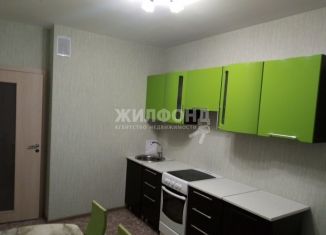 Аренда 2-комнатной квартиры, 60 м2, Новосибирск, Междуреченская улица, 3/1, метро Площадь Гарина-Михайловского