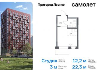 Продается квартира студия, 22.3 м2, деревня Мисайлово, микрорайон Пригород Лесное, к14.1