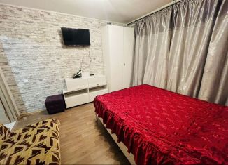 Аренда 1-ком. квартиры, 32 м2, Санкт-Петербург, улица Бабушкина, 84к2